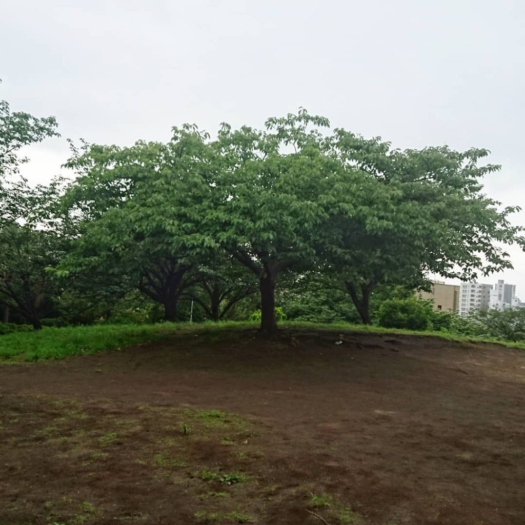 西郷山公園